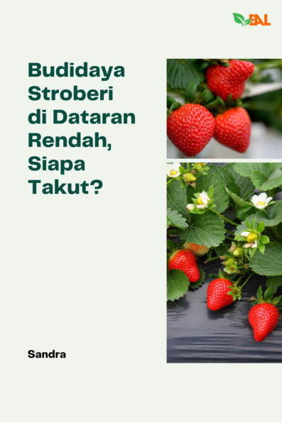 Sampul buku Budidaya Stroberi di...
